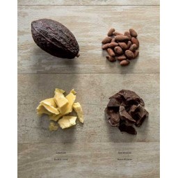 Cioccolatini