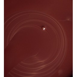 Enciclopedia del Cioccolato...