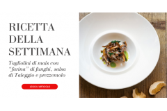 Tagliolini di mais con “farina” di funghi, salsa di Taleggio e prezzemolo 