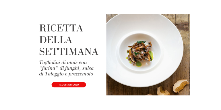 Tagliolini di mais con “farina” di funghi, salsa di Taleggio e prezzemolo 