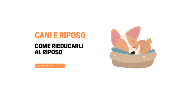 Il riposo del cane: come rieducarlo al riposo