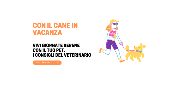 Con il cane in vacanza: ecco come 