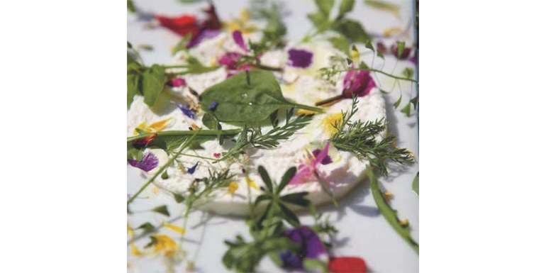 Crema di caprino con fiori ed erbe dei pascoli madesimini - ricetta della settimana