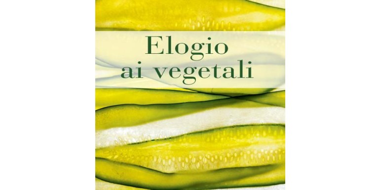 Ricette creative per trasformare gli ortaggi nei veri protagonisti dei piatti autunnali