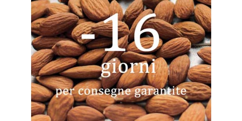 Natale 2016: evviva il panettone