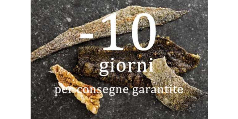Natale 2016: Risultati interessanti con l'essiccatore