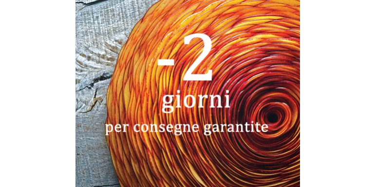 Bei libri illustrati da regalare